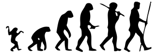 Supplementary
                                                    articles in
                                                    Evolutionary
                                                    Biology