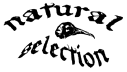 Natural selection.