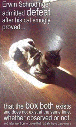 Erwin
                                                          Schrdinger's
                                                          cat